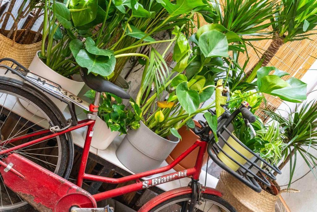 Apartamento Puccinotti House Florencia