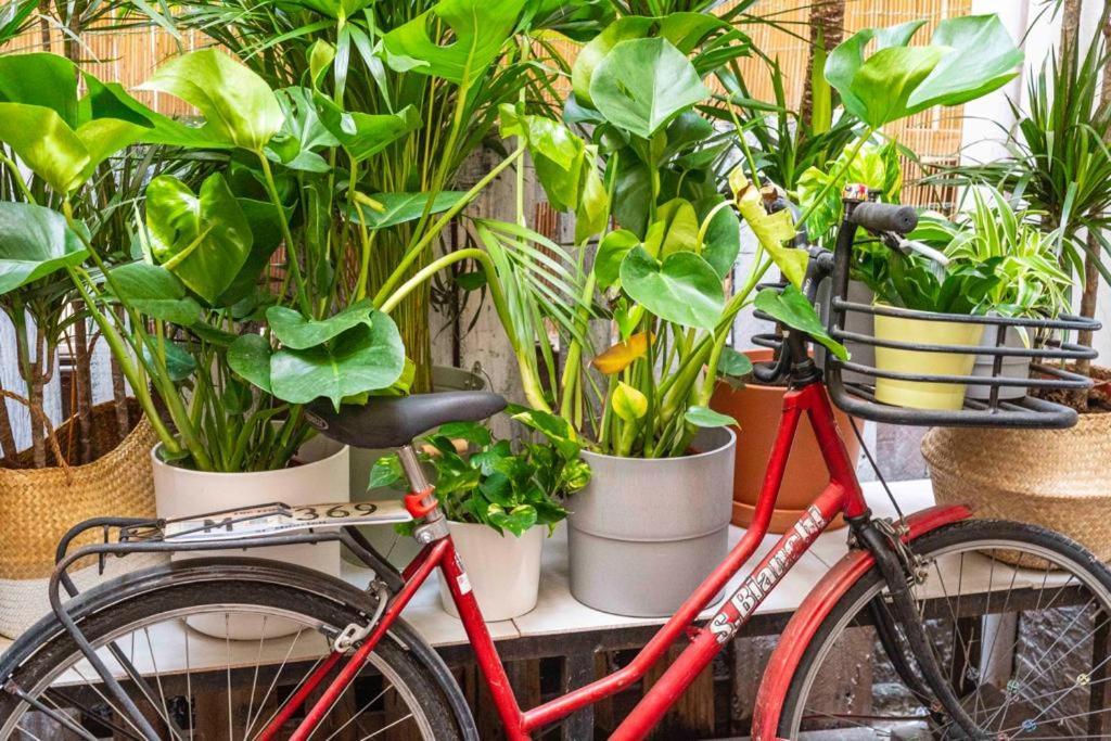 Puccinotti House Apartamento